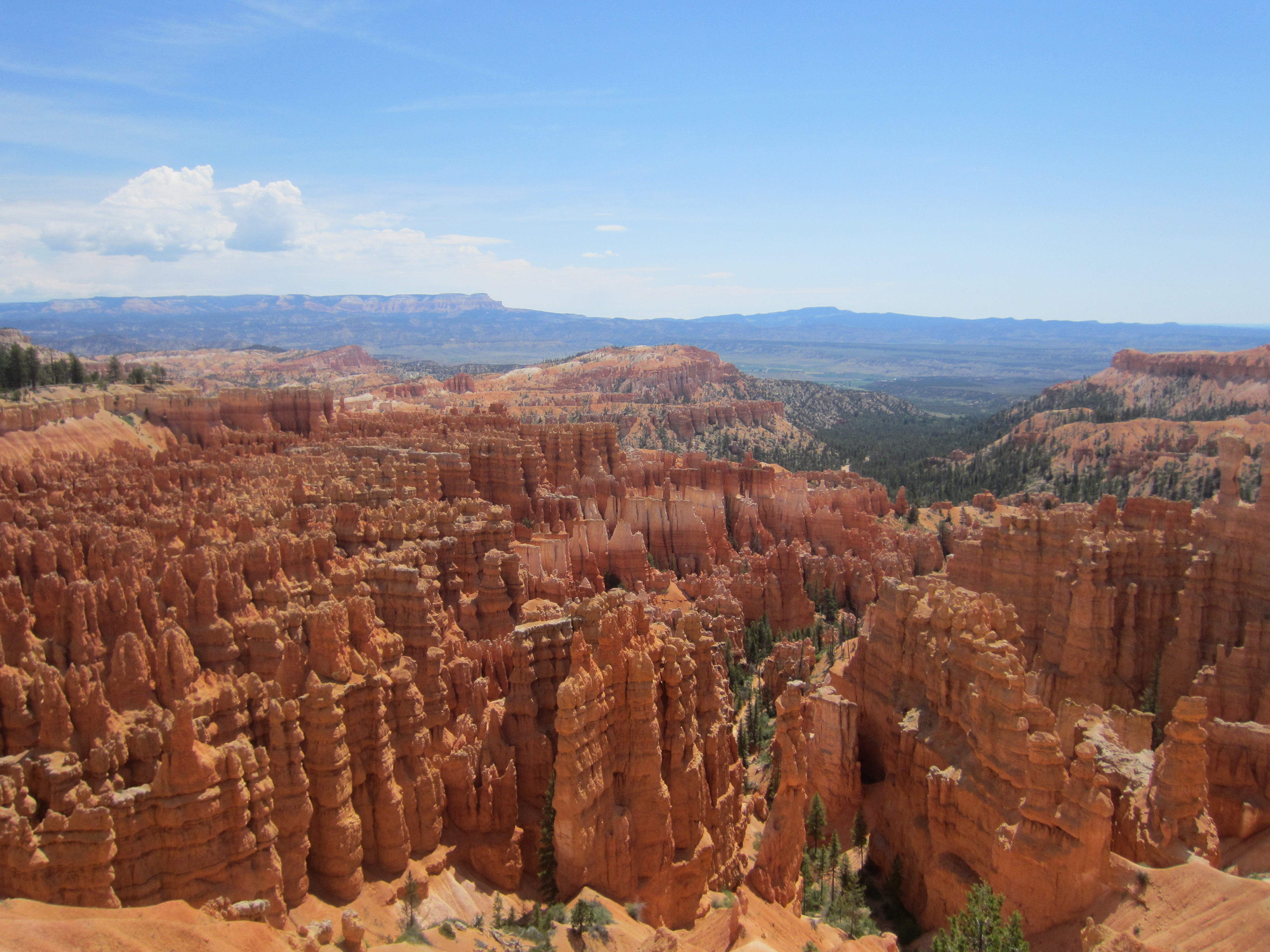 Melissa DeMoux - CoughDrop Blog